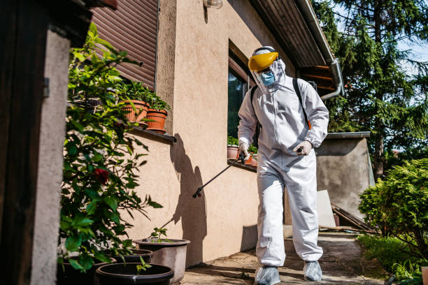 Best Insect Control  in Merrill, WI