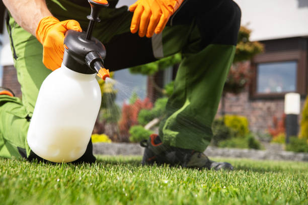 Best Emergency Pest Control  in Merrill, WI