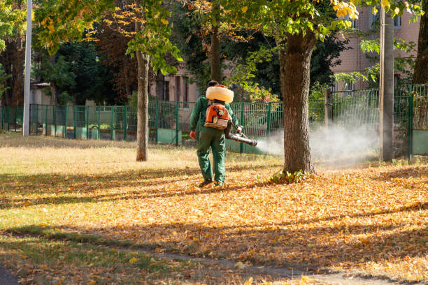 Best Flea Control Services  in Merrill, WI